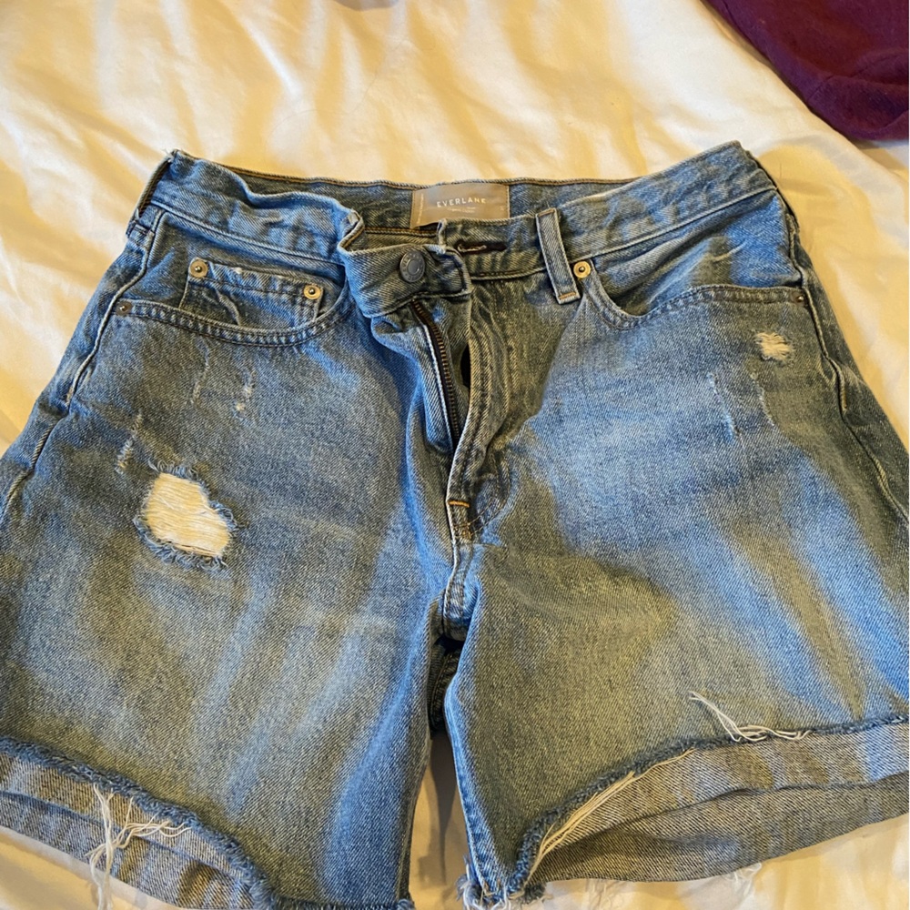 Everlane Light Blue Denim Jeans Shorts